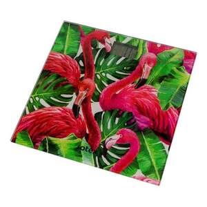 Весы напольные Rotex Flamingo RSB06-P 150 кг